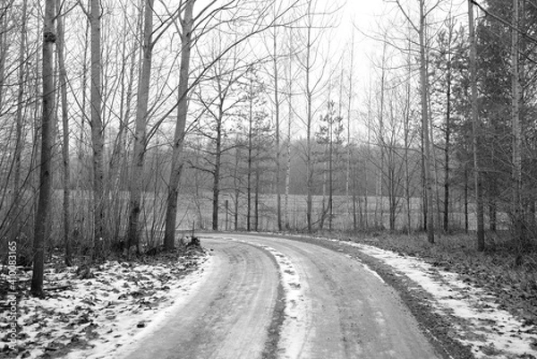Obraz road in winter
