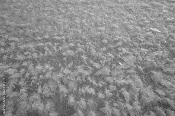 Obraz black and white texture