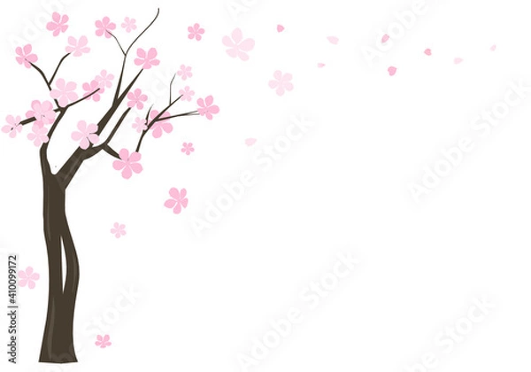 Fototapeta Cherry blossom tree isolated on white background vector illustration. Sakura flower.