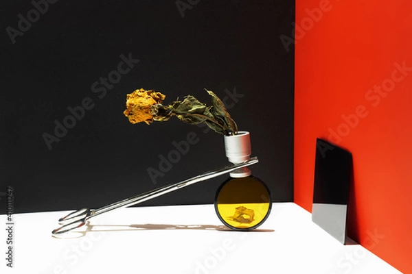 Obraz Abstract yellow dried flower in metal vase over yellow glass besides black glass. Over simple geometric red black white background.