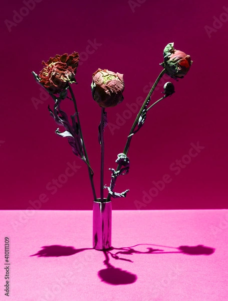 Obraz Three dried flower on a vase on a pink background