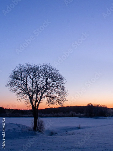 Obraz Sunset in the winter