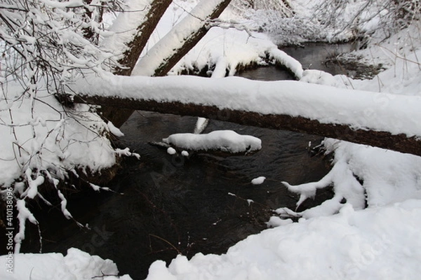 Fototapeta a stream in a winter snow-covered forest in the afternoon outside the city
