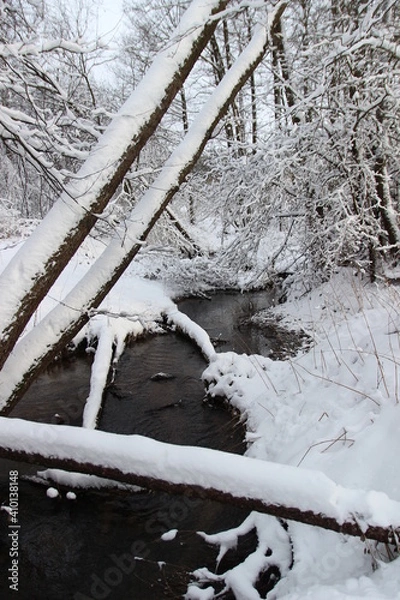 Fototapeta a stream in a winter snow-covered forest in the afternoon outside the city