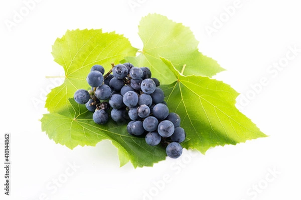 Fototapeta Grapes