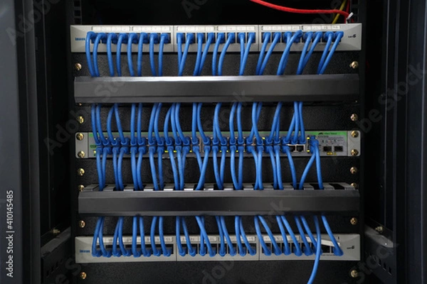 Fototapeta  cat6 patch cord cables going from patch panel to 48 port network switches.