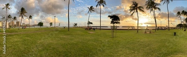 Obraz reeds at sunset