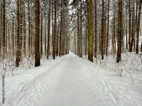 Obraz Winter Forestroad
