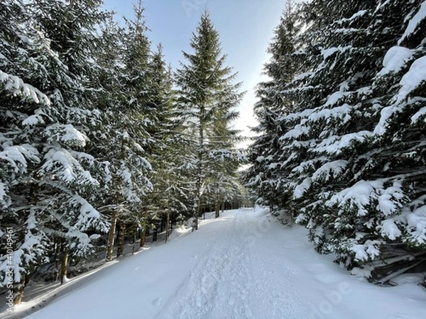 Obraz Winterwanderung