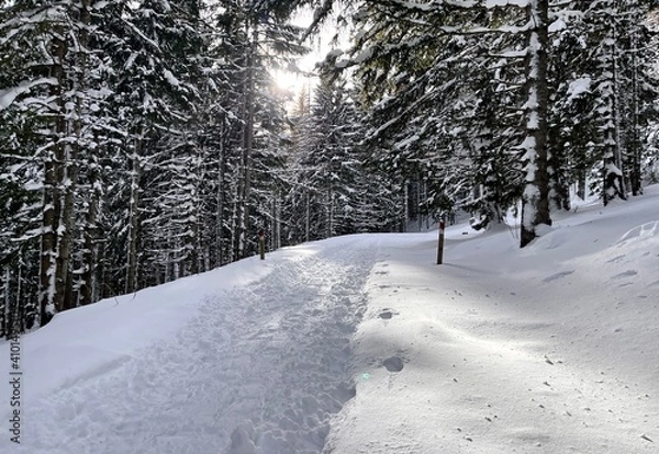 Obraz Winterwanderung