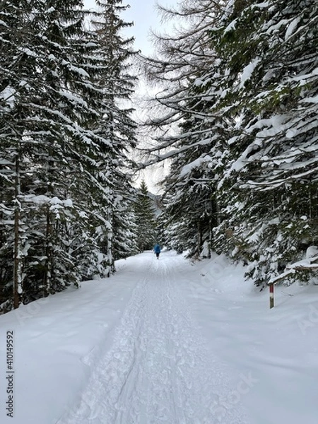 Obraz Winterwanderund