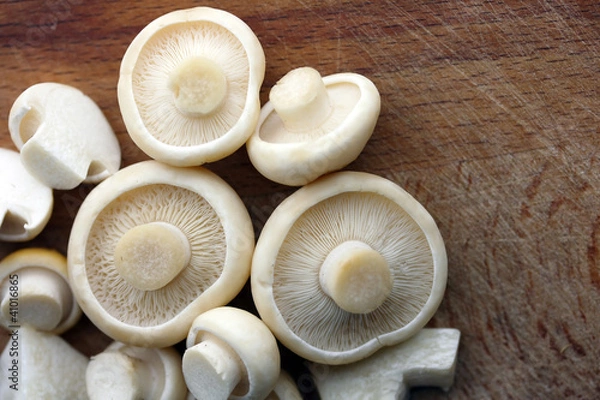 Obraz St. George's mushroom