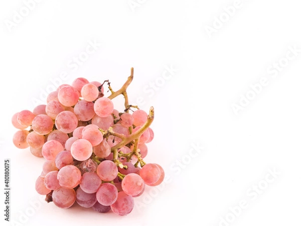 Obraz Uvas de vinho Rosé