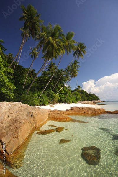 Obraz Tropical Beach