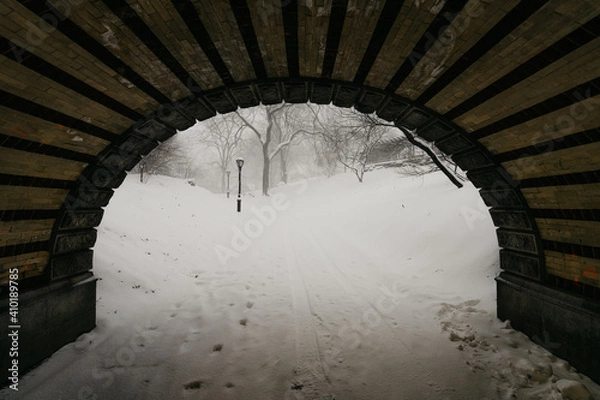Fototapeta Central Park snow. Historic architecture in New York City Central Park. Beautiful bow bridge in Manhattan Central Park with snow flakes. Winter in NYC. Blizzard in New York City. 