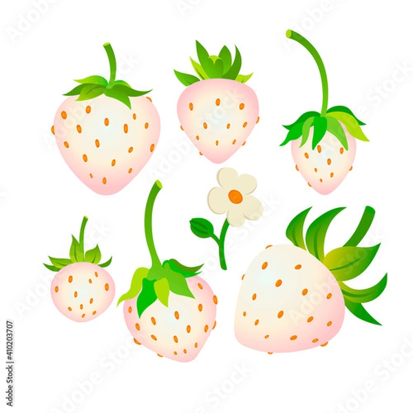 Obraz White strawberries second set