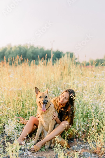 Fototapeta A brunette girl walks and plays with a German shepherd dog in the meadow. Sunset and blurred background on backdrop.