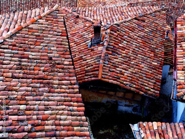 Obraz Roof tiles