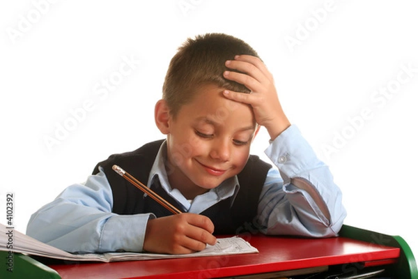 Obraz Primary School boy