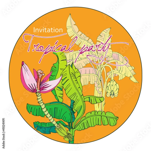 Obraz Tropical palm background