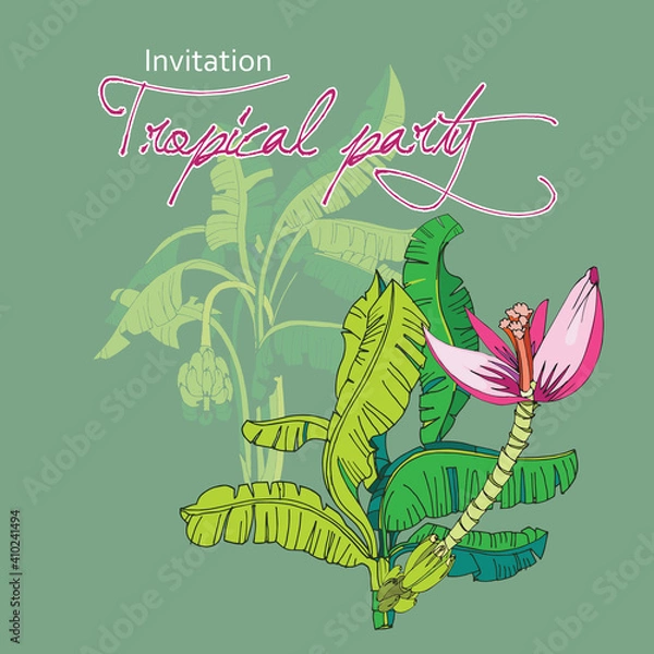 Obraz Tropical palm background