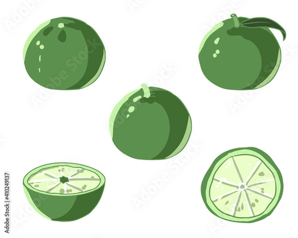 Fototapeta ゆず　緑　線無し