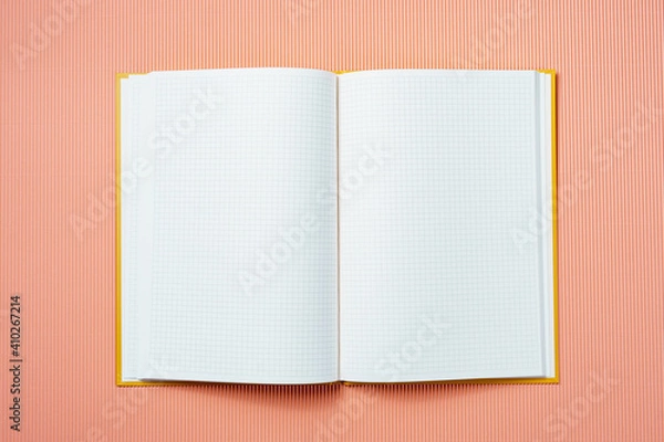 Fototapeta School notebook on a paper champagne background, opened notepad and craft cardboard pen