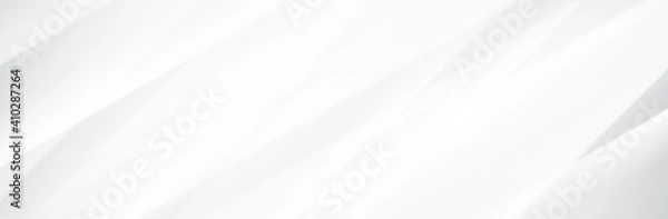 Fototapeta Abstract White Gray background. Blur neutral backdrop. Lecture, seminar, symposium, workshop, conference or briefing presentation template. White vector illustration