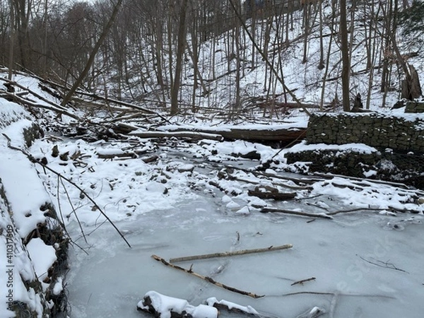 Obraz river in winter