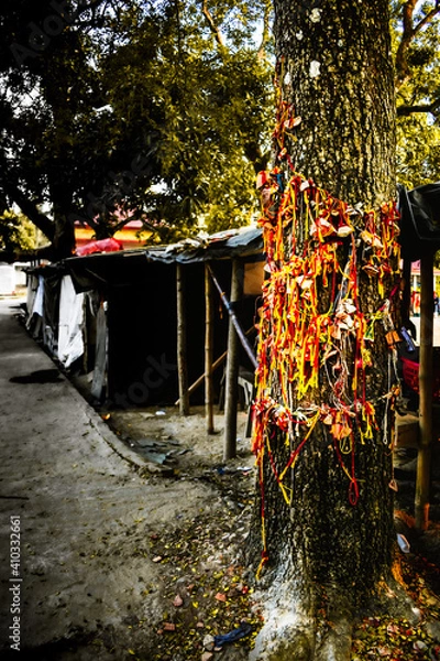 Obraz Sacred stones, colorful twists, yarn, threads are tied on a tree branch in Hindu temple for pray, bless, wish. Beautiful place for prayer, worship on open natural blur background. copy space for text.