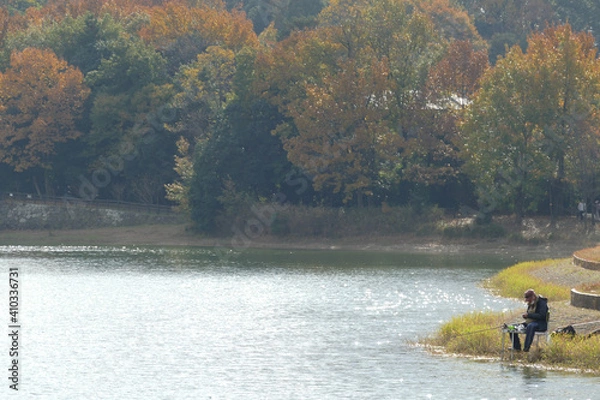 Obraz 池で釣りをする男性