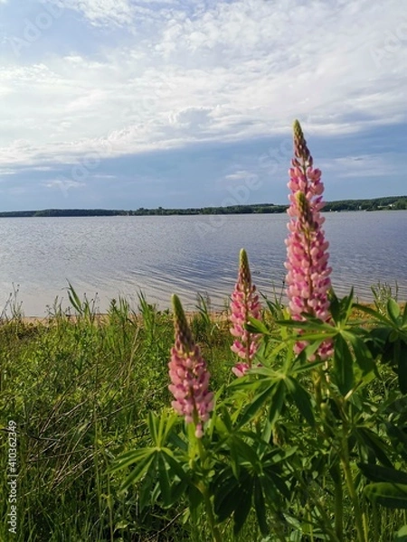 Obraz flowers on the beach