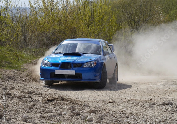 Obraz Rallye
