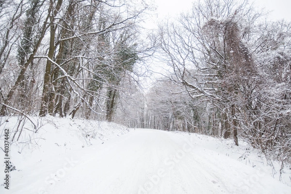 Fototapeta Winter snowy day. Winter scene. Snow covered trees in forest. Beautiful wintertime nature landscape.