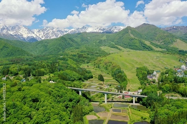 Obraz 初夏の栂池高原