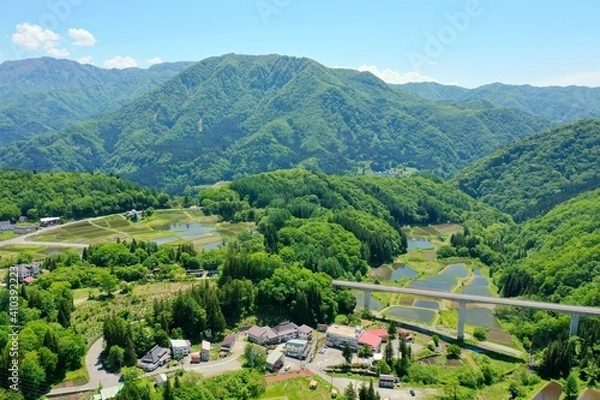 Obraz 初夏の栂池高原