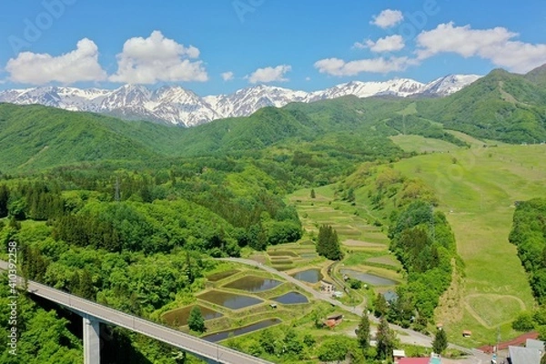 Obraz 初夏の栂池高原