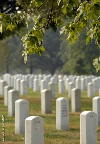 Obraz Arling graves