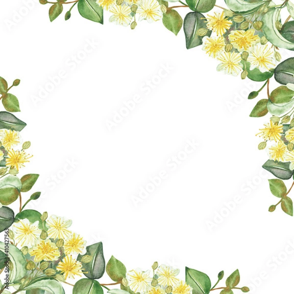 Obraz Watercolor hand painted nature squared border frame with yellow lime blossom flowers and green eucalyptus leaves on branch bouquet on the white background for invite and greeting card