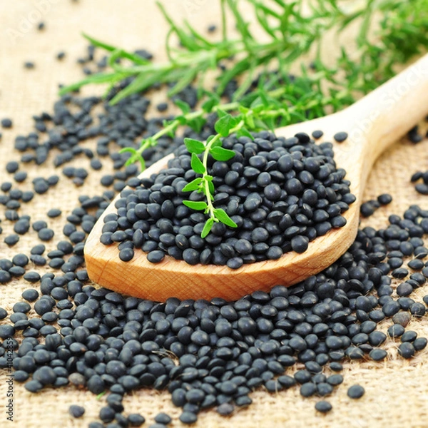 Obraz Soczewki Beluga