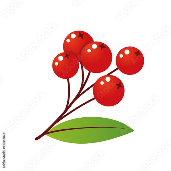 Obraz Rowan tree branch with leaf and berries. Vector illustration isolated on white background. Mountain ash summer design. Gradient fill. Bunch of mountain ash