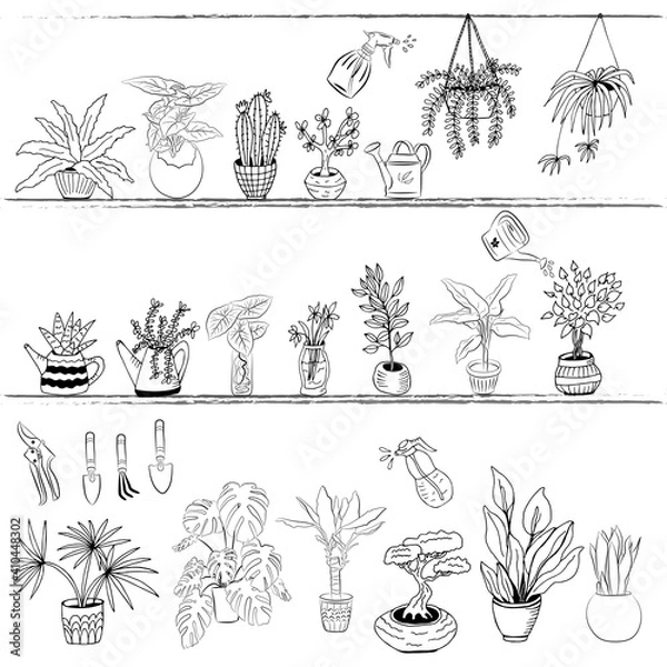 Fototapeta Set of hand drawn house plants in pots. Big set cute of hand drawn house plants in pots including cactus, dracena, aloe and others, and garden tools. Vector collection of doodle plants.