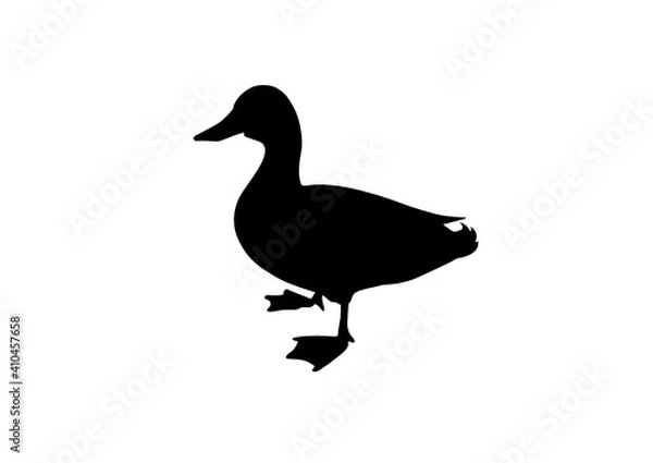 Obraz Silhouette Anatra