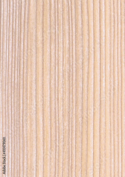 Obraz Lärche mediterran