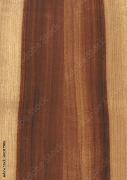 Obraz Kern Cherry Kernkirschbaum