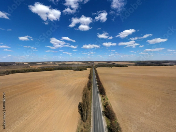 Fototapeta field of grass and perfect sky