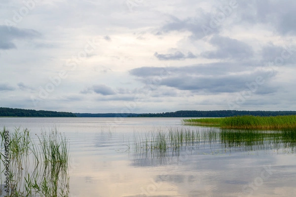 Obraz Usmas lake in Latvia. Beautiful natural waterscape.