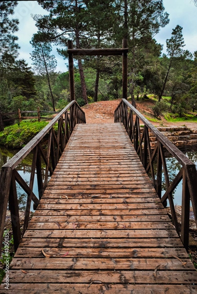 Obraz Wood Bridge over the River