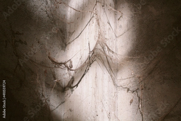 Fototapeta wood texture