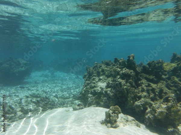 Fototapeta Under Water